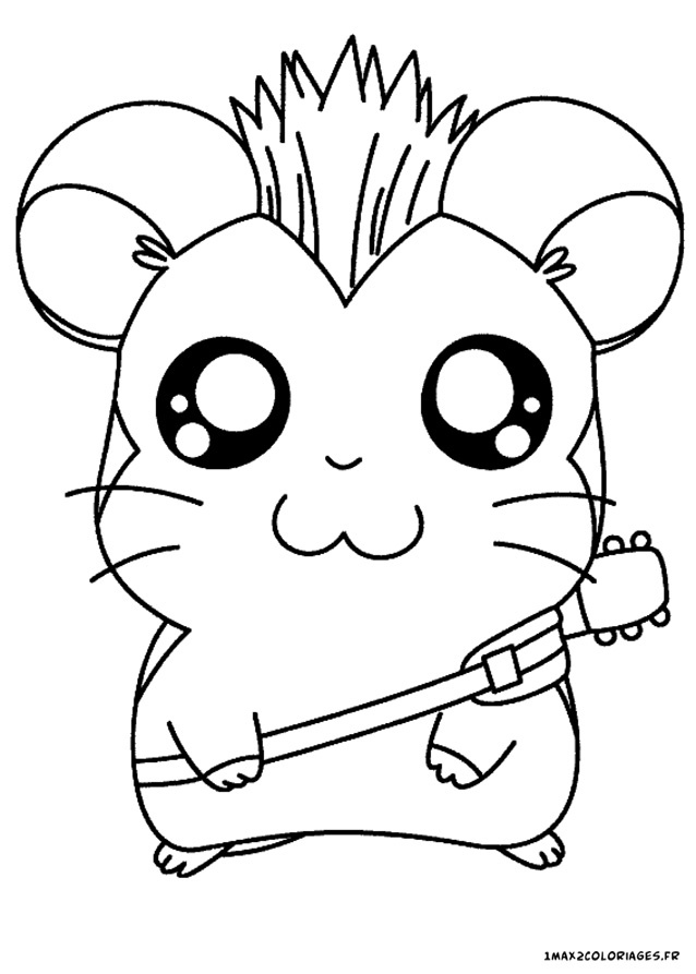 Coloriage Hamtaro Luxe Hamtaro Les Personnages Voici Babos