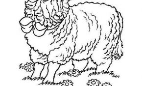 Coloriage Herbe Unique Mouton Dans L Herbe Coloriage Mouton Dans L Herbe Sur
