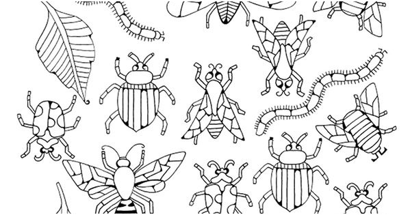 Coloriage Insectes Nouveau Coloriage Insectes Plus Embroidery Pinterest