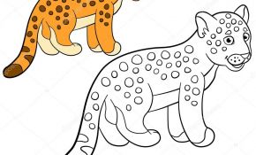 Coloriage Jaguar Frais Coloriage Avec Des Couleurs Petit Jaguar De Bébé Mignon