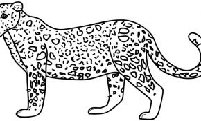 Coloriage Jaguar Inspiration Coloriage Tigre