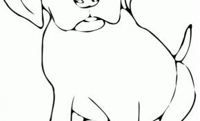 Coloriage Labrador Génial Coloriage Petit Chien Avec Adorables Yeux Dessin Gratuit à
