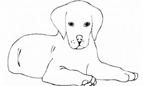 Coloriage Labrador Nice Chien 82 Animaux – Coloriages à Imprimer