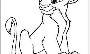 Coloriage Lion Nice Skater Coloring Pages