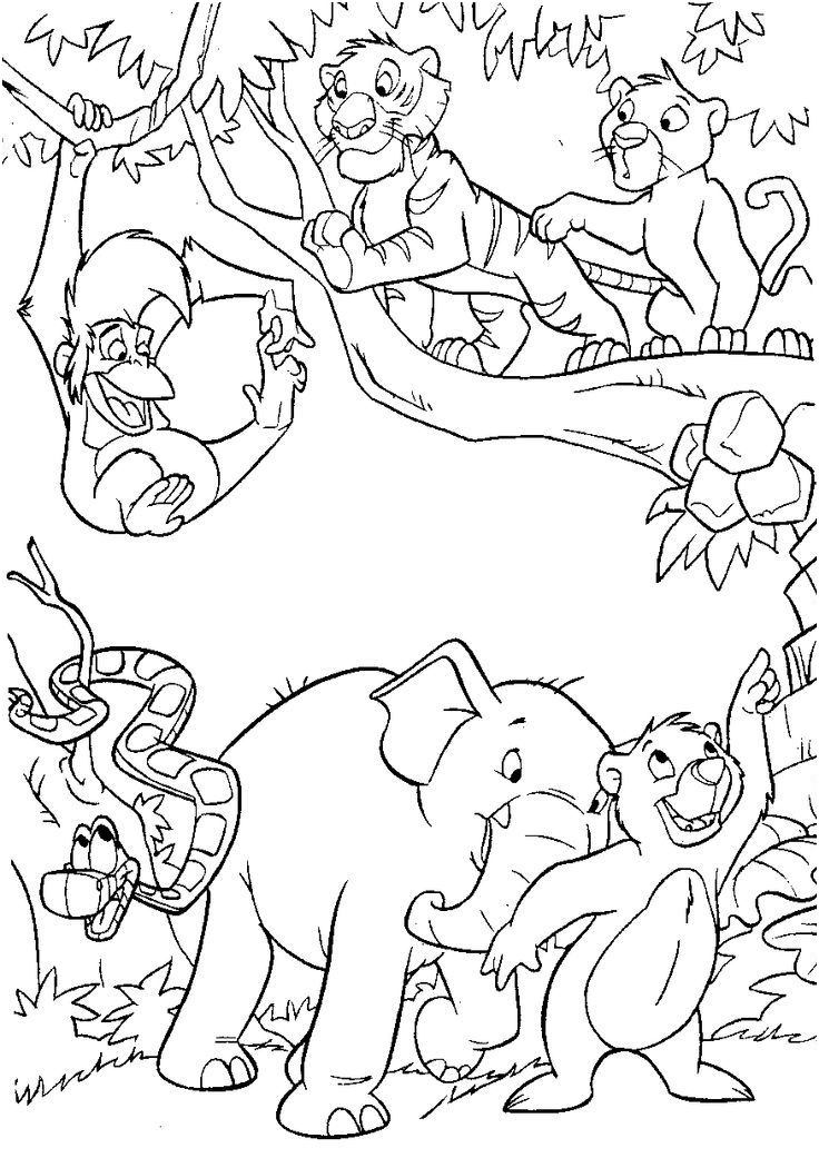 Coloriage Livre De La Jungle Nice Le Livre De La Jungle Coloriages Disney