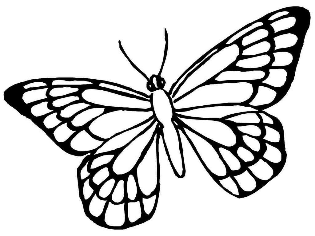 Coloriage Magique Cp Papillon Génial Mariposa Para Colorear3 Opt 1 11 Mariposa Para Colorear Co