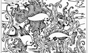 Coloriage Magique Cp Pdf Génial Coloring Pages Adult Free Fish Coloring Pages Realistic Col