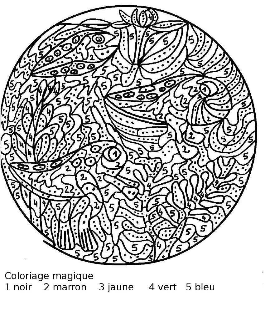 Coloriage Magique Difficile Cm2 Chevaux Génial Coloriage Dessiner Magique Difficile 6eme