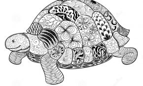 Coloriage Mandala Animaux Tortue Frais Turtle Doodle Illustration Stock Vector Image