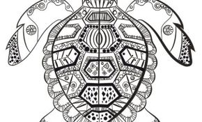 Coloriage Mandala Animaux Tortue Meilleur De Les 25 Meilleures Idées De La Catégorie Coloriage Mandala