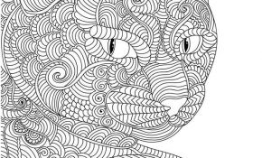 Coloriage Mandala Chat Luxe 431 Best Images About Cats Dogs Coloring Pages For