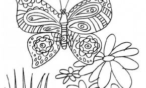 Coloriage Mandala Fleur Et Papillon Frais Coloriage Papillon Et Fleur Dessin Gratuit à Imprimer