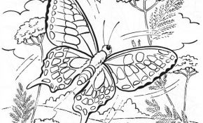 Coloriage Mandala Fleur Et Papillon Luxe Coloriage Papillon Difficile Dans La Nature Dessin Gratuit