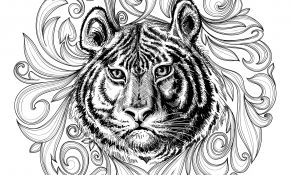 Coloriage Mandala Tigre Meilleur De Galerie De Coloriages Gratuits Coloriage Adulte Tigre