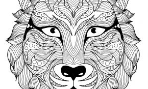 Coloriage Mandala Tigre Nice Magnifique Tete De Tigre Tigres Coloriages Difficiles