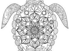 Coloriage Mandala Tortue Inspiration La Tortue Marine à Colorier Du Dimanche