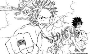 Coloriage Manga Fairy Tail Luxe Coloriage Manga Fairy Tail Jecolorie 2345 Fairy Tail Levy