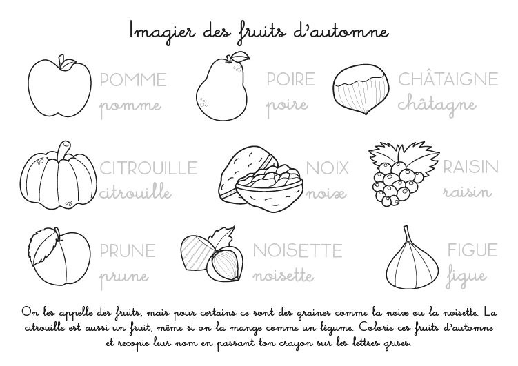 Coloriage Maternelle Automne Inspiration Coloriage à Imprimer Imagier Des Fruits D Automne