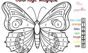 Coloriage Maternelle Nice Coloriage Magique Un Papillon