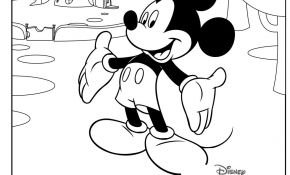 Coloriage Mickey Et Ses Amis Top Départ Frais Les Coloriages De La Maison De Mickey Zouzous Dessins