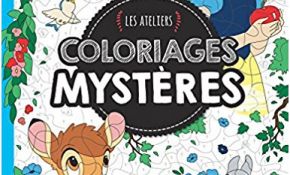 Coloriage Mystère Disney Luxe Les Ateliers Coloriages Mysteres Coloring Book Review