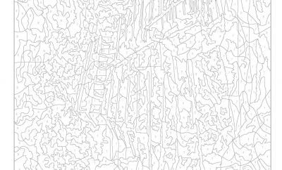 14 original Coloriage Mystere Pictures - COLORIAGE