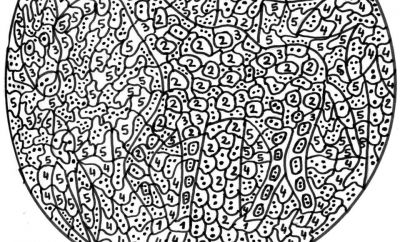 13 Grand Coloriage Numéroté Adulte Pictures - COLORIAGE