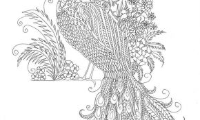 Coloriage Oiseau Élégant 109 Best Peacocks Art & Coloring Images On Pinterest