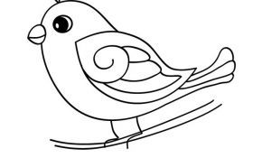 Coloriage Oiseau Élégant Related Keywords & Suggestions For Oiseau Dessin