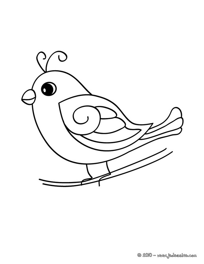 Coloriage Oiseau Élégant Related Keywords &amp; Suggestions for Oiseau Dessin
