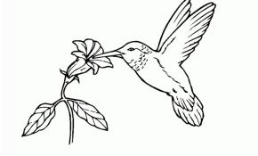 Coloriage Oiseaux À Imprimer Meilleur De Coloriage Un Oiseau Et Une Fleur à Imprimer Dans Les