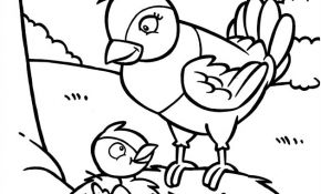 Coloriage Oiseaux À Imprimer Nice 119 Dessins De Coloriage Oiseau à Imprimer Sur Laguerche