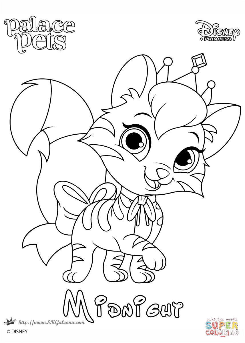 Coloriage Palace Pets Luxe Midnight Princess Coloring Page