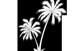 Coloriage Palmier Nice Palmier 6 Nature – Coloriages à Imprimer