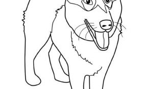 Coloriage P'tit Loup Inspiration Coloriage Loup à Imprimer Gratuitement