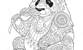 Coloriage Panda Mandala Inspiration Zentangle A Stylisé Le Panda Illustration De Vecteur