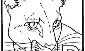 Coloriage Panthere Frais Panthère 44 Animaux – Coloriages à Imprimer