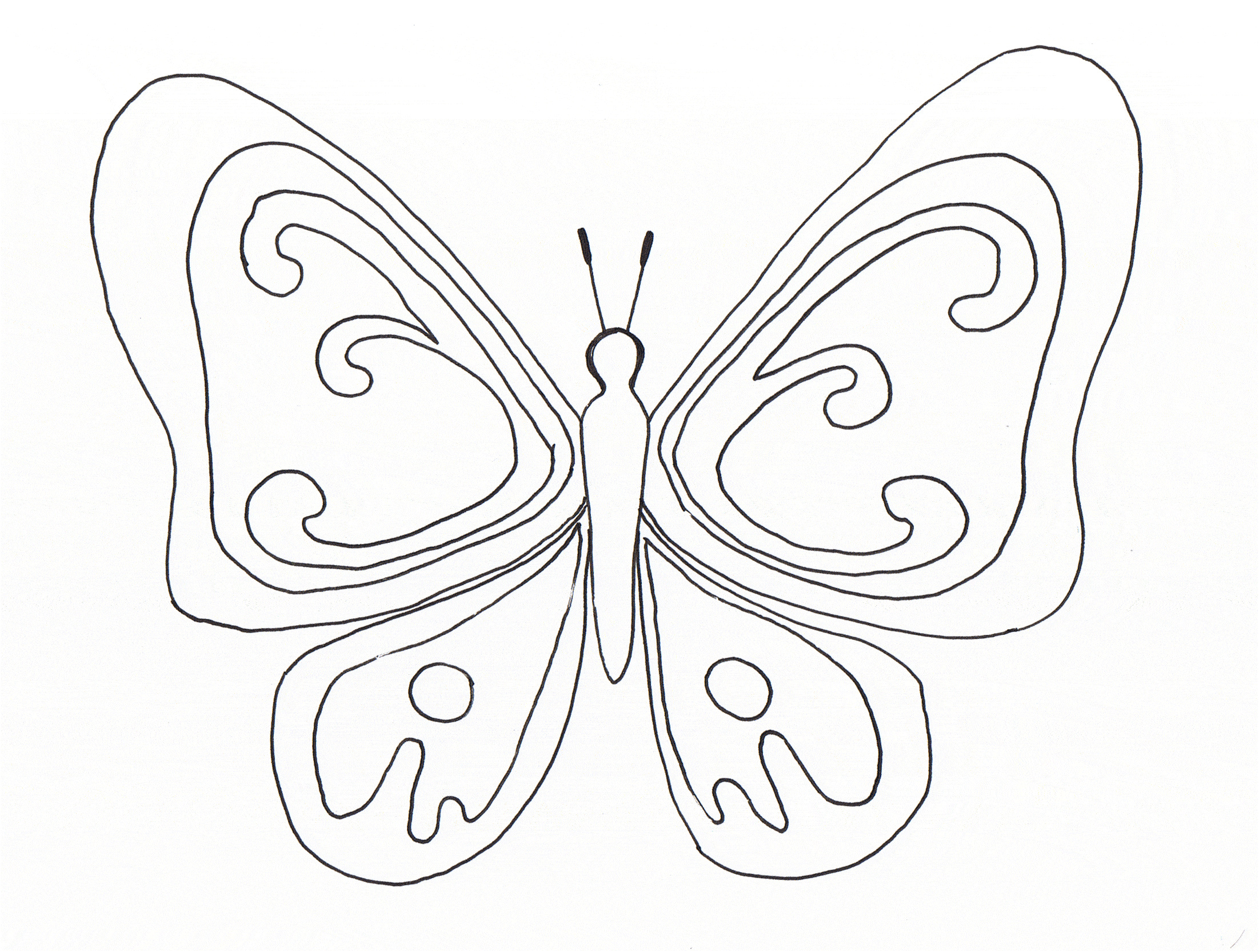 Coloriage Papillon À Imprimer Frais Vol De Papillon Coloriages De Papillons