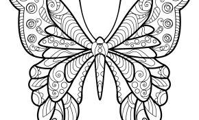 Coloriage Papillon À Imprimer Génial Papillon Motifs 4 Coloriage De Papillons Coloriages