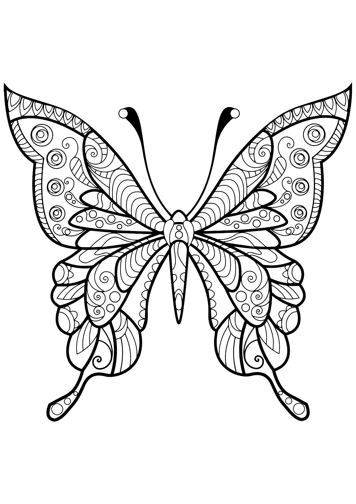 Coloriage Papillon À Imprimer Génial Papillon Motifs 4 Coloriage De Papillons Coloriages