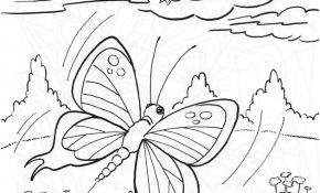 Coloriage Papillon À Imprimer Luxe Papillons Dessins