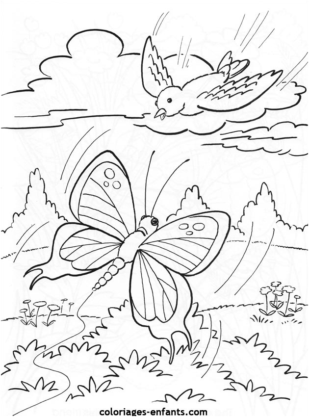 Coloriage Papillon À Imprimer Luxe Papillons Dessins