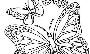 Coloriage Papillon À Imprimer Nouveau Mandalas Papillon 18 Mandalas – Coloriages à Imprimer