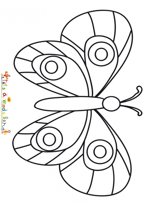 Coloriage Papillon Facile Frais Un Papillon Facile à Colorier
