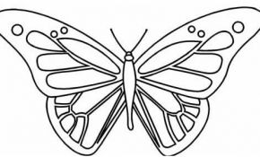 Coloriage Papillon Simple Nice Papillon 68 Animaux – Coloriages à Imprimer