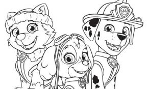 Coloriage Pat Patrouille Marcus Nice 85 Best Images About Paw Patrol On Pinterest