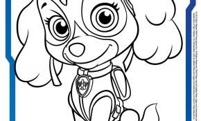 Coloriage Patpatrouille Génial Paw Patrol Colouring Pages And Activity Sheets