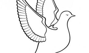 Coloriage Pigeon Génial Esbozado Pájaro Paloma