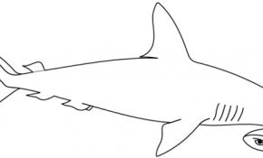 Coloriage Requin Meilleur De Coloriage à Imprimer Un Requin Marteau Turbulus Jeux
