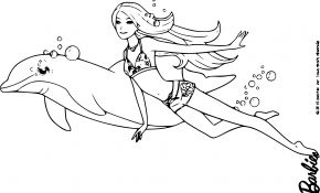 Coloriage Sirene Dauphin Inspiration Dauphin A Imprimer Zn24